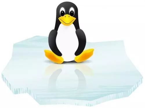 如果快速地对 Linux 服务器进行故障分析